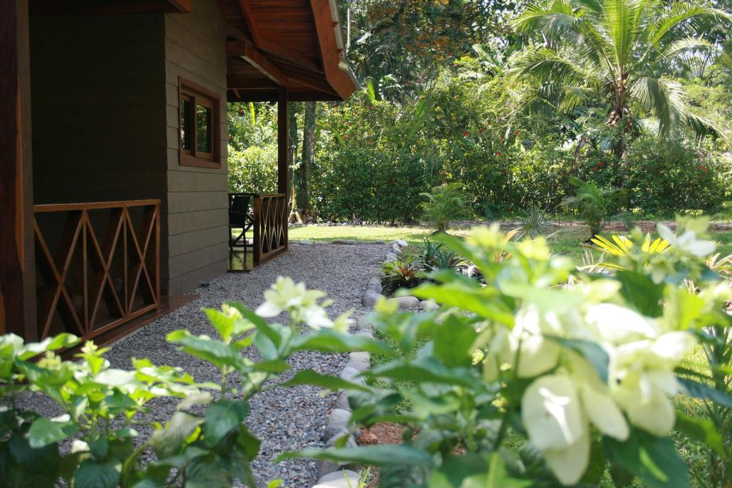 Oasi Apartment Cahuita Ngoại thất bức ảnh